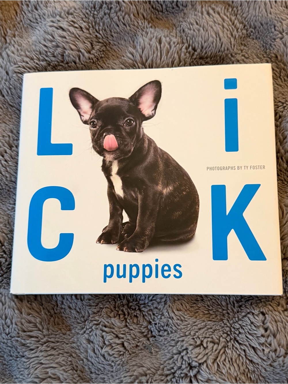 LICK Adorable Puppy Photo Book